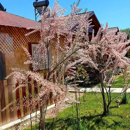 La Podul Gornii Gornea